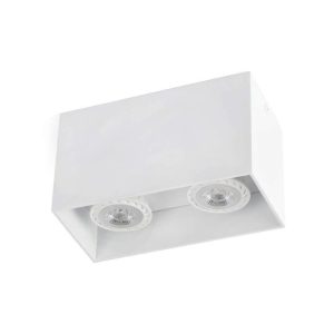 Plafón 2 luces blanco TECTO